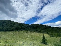 -白草畔自然风景区