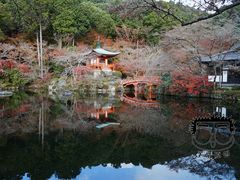 -醍醐寺