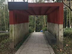 -重庆彩云湖湿地公园