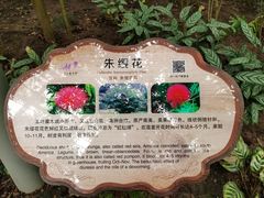 -南山植物园