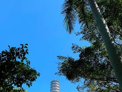 -深圳国际园林花卉博览园