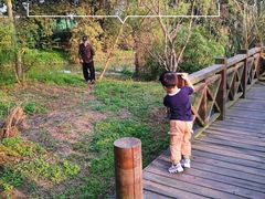 -桤木河湿地公园