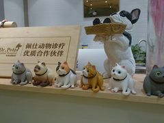 -Pets First伊珊娜洗护·精致美容·家庭式寄养(新会路店)