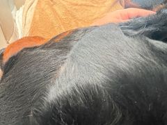 -美联众合动物医院·24h转诊中心