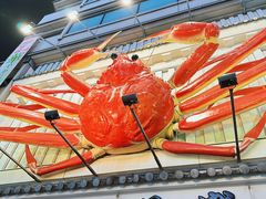 -蟹道乐(道顿堀本店)