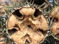 -宾朋海鲜特色美食餐厅·纯手工鲅鱼水饺(兴海路店)