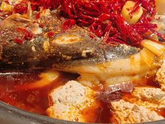 麻辣豆花味-探鱼·鲜青椒爽麻烤鱼(三水广场店)