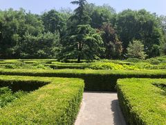 -黄村公园