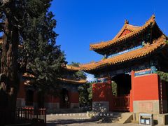 -北京国子监胡同