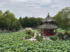 -莲池书院博物馆
