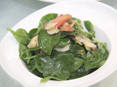 -石家庄万象天成假日酒店