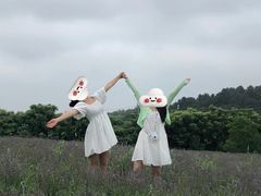 -大塘金香草谷