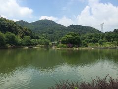 IMG_9660-广州市帽峰山景区