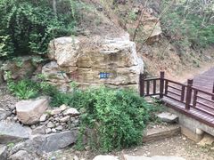 -北京西山国家森林公园