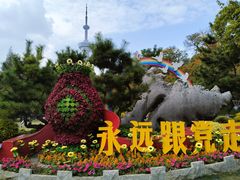 -南京古林公园