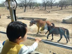 -西安秦岭野生动物园
