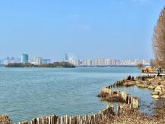 -长广溪湿地公园