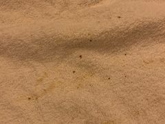 -青岛富力艾美酒店