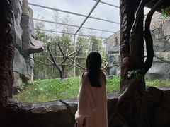 -贵州森林野生动物园