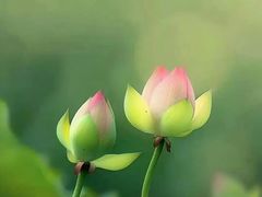 -创世纪情缘·婚恋(杭州家和店)