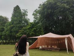 -南宁良凤江国家森林公园