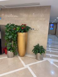 点击看大图 -南京康美美容医院·旗舰店