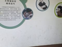 -宁波野生动物园