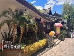 -菌自由丨野生菌火锅特色庭院餐厅(丽江古城店)