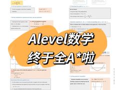 -菠萝国际教育专注Alevel·IGCSE·IB·AP·托福雅思培训辅导(静安校区)