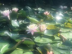 -晓港公园