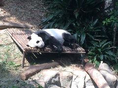 河川生态园-河川生态园