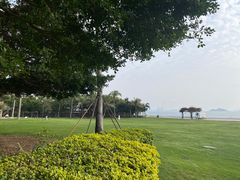 -采粤轩中餐厅(惠州金海湾喜来登度假酒店)