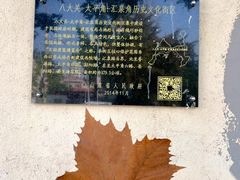 -八大关景区