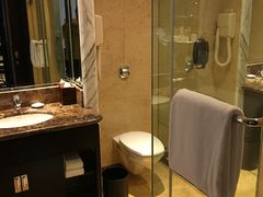 -新加坡乌节希尔顿酒店 (SG Clean)