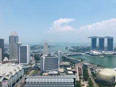 -新加坡瑞士史丹福酒店