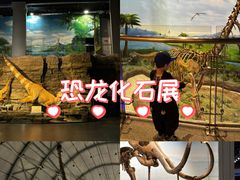-辽宁古生物博物馆