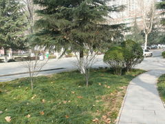 -陕西师范大学(雁塔校区)