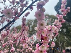 -无锡梅园公园