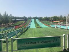 -北京鹿世界主题园