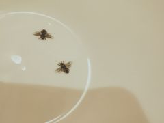 -唐宫小聚(荃湾荃新天地店)