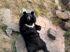 -无锡动物园·太湖欢乐园