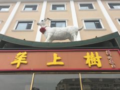 门面-羊上树(南门外店)