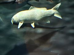 -海合安武汉极地海洋公园