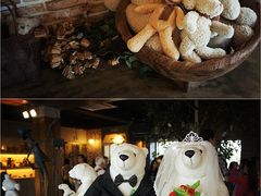 -济州岛泰迪熊博物馆