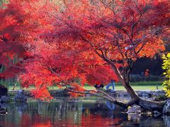 -康熙养生SPA·轻奢足道(江宁万达店)