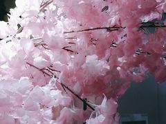 -学习谷日语培训日本留学·多语种外语教学(海淀人大分部)