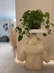 -Dr.林醫生产后修复·超级店(南京江宁同曦店)