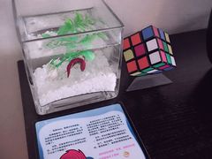 -桔子酒店(青岛五四广场店)