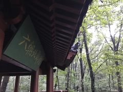 -紫金山山顶公园