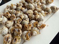 -鑫悦楼煎蟹·16年海鲜大排档